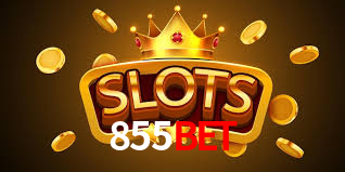Programa VIP 855bet