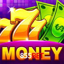 855bet App Interface