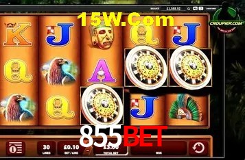 Platform Technology 855bet