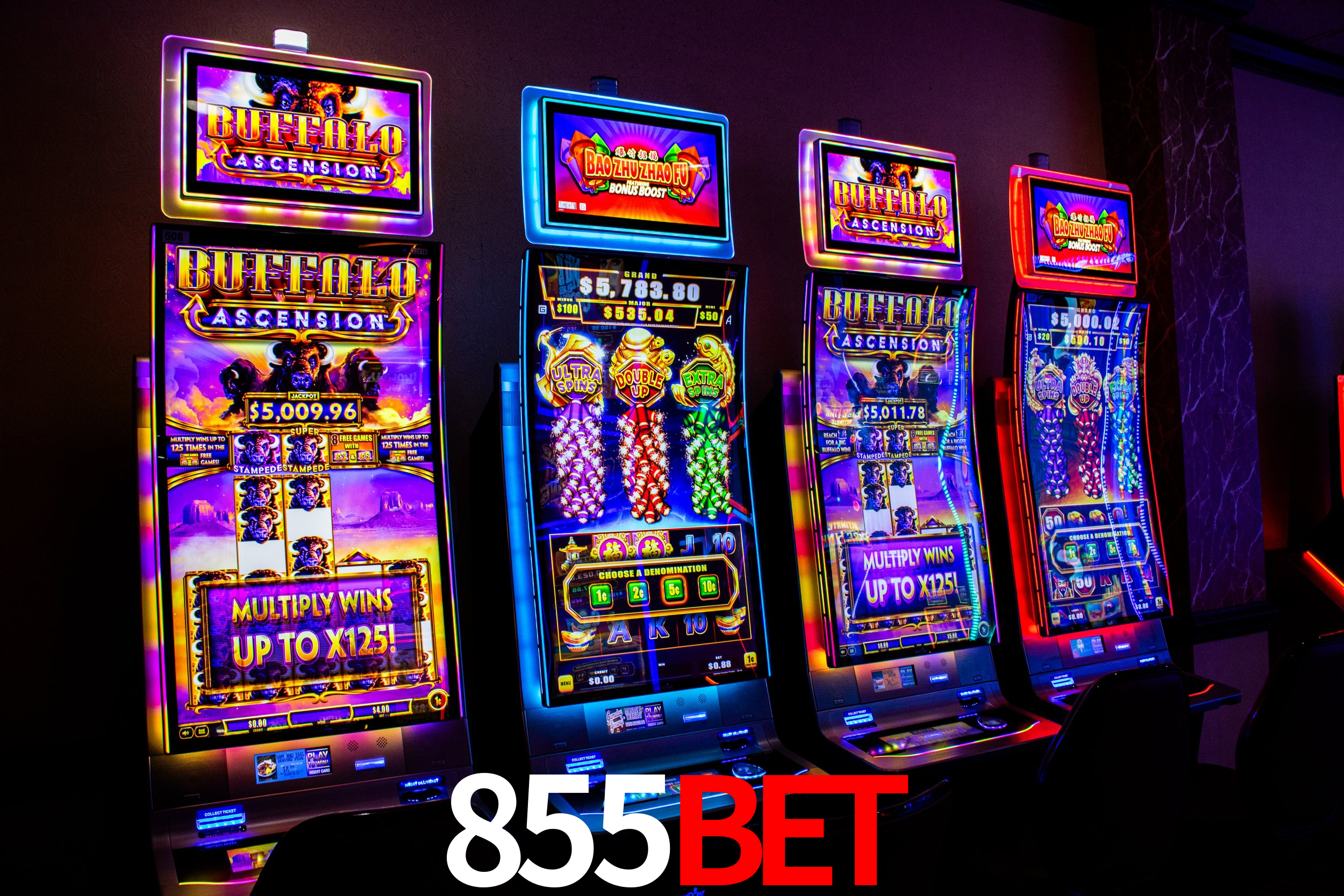 Live Casino 855bet