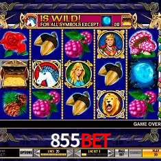 Slot Games 855bet