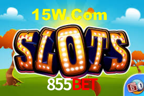 855bet App Interface