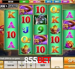 Experiência VIP 855bet